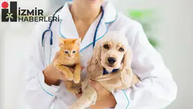 Veteriner hekimlere dev ceza: Meslekten men edilmesine rağmen çalışanlar yandı