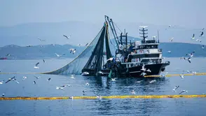 Denizlerde Av Yasağı 15 Nisan'da Başlıyor