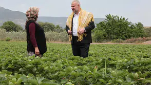 En lezzetli Festival için geri sayım başladı