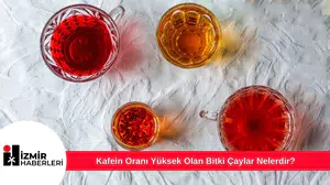 Kafein Oranı Yüksek Olan Bitki Çaylar Nelerdir?