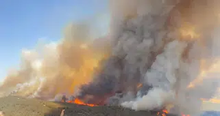Foça’nın Kalbinde Orman Yangını!