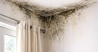 DEÜ’LÜ ALPAYDIN UYARDI: NEMLİ VE RUTUBETLİ EVLER, HALK SAĞLIĞINI TEHDİT EDİYOR!