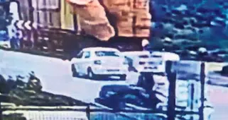 Saman balyaları canından etti