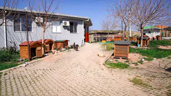 Başkan Yetişkin: “Artık çöpe giden yemekler can dostlarımız için mamaya dönüşüyor”