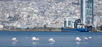 İZPA, İzmir’in geleceği için yol haritasını çiziyor