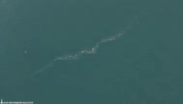 “Sistematik çevre ihlali endişe veriyor”