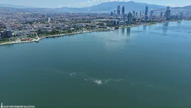 İzmir Körfezi’nde 14’üncü kez kirlilik tespit edildi