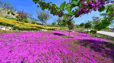 İzmir’in parklarında akıllı sulama dönemi