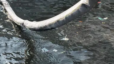 İzmir Körfezi Petrol Atıklarıyla Kirleniyor: Temizlik Çalışmaları Başlatıldı