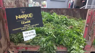 Damda Zehir Tarlası! Ödemiş’te Uyuşturucu Operasyonu