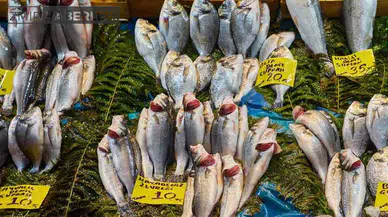 Sofralardan uzak tutulması gereken tehlikeli balık türleri açıklandı
