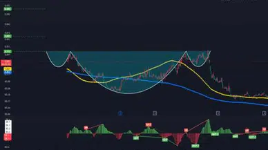 Jantsa Hisse Senedi İçin  Uzmanlardan Yeni Yorumlar