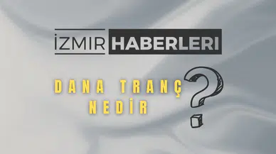 Dana Tranç Et Nedir? Özellikleri, Yağ Oranı ve Kullanım Alanları