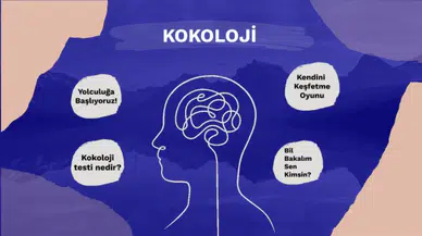 Kokoloji Kişilik Testi Nedir? Sorular, Bilimselliği ve Amaçları