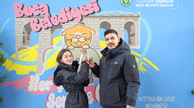 Mucize adlı sokak kedisi sıcak yuvaya kavuştu!