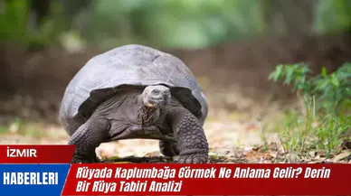 Rüyada Kaplumbağa Görmek Ne Anlama Gelir? Derin Bir Rüya Tabiri Analizi