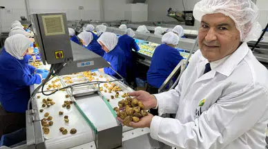 Türk kuru incir ihracatçılarından Avrupa Birliği’ne; “Kuru incirde ev ödevimizi yapıyoruz” mesajı