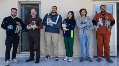 İzmirli hayvansever Çörekçi’nin emanetlerine İzmir Büyükşehir Belediyesi sahip çıktı