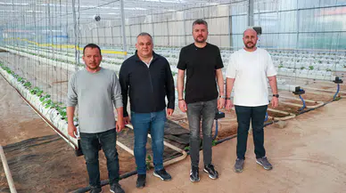 Buca'da sürdürülebilir tarım atağı: Topraksız serada maksimum verim hedefleniyor