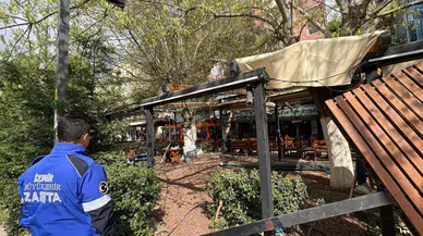 İzmir'de kamusal alan işgallerine son: Kaçak yapılar yıkıldı