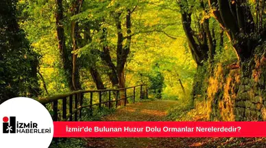 İzmir'de Bulunan Huzur Dolu Ormanlar Nerelerdedir?