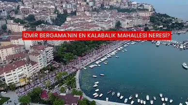 İzmir Bergama'nın en kalabalık mahallesi neresi?