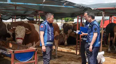 Gaziemir’de kurban satış yerlerinde sıkı denetim