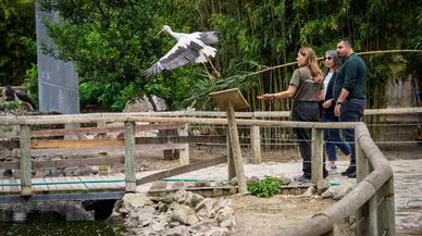 ​İzmir Doğal Yaşam Parkı’nda bebek heyecanı