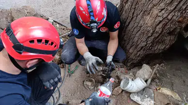 İzmir İtfaiyesi havalandırma bacasına sıkışan kediyi kurtardı