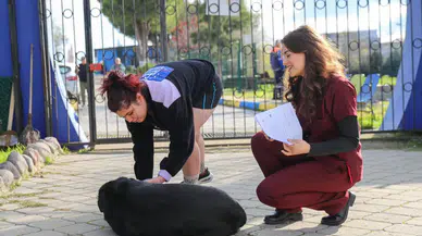 Buca Belediyesi’nden sahiplendirme çağrısı