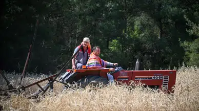 Bornova’da ilk hasat Başkan Eşki’den