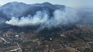 İzmir’de Orman Kabusu: Menderes ve Seferihisar Alev Alev, Köyler Boşaltıldı!