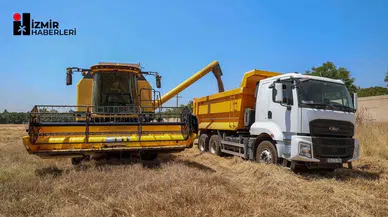 Buca’da ilk buğday hasadı