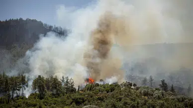Seferihisar ve Menderes yangınlarının bilançosu ağır
