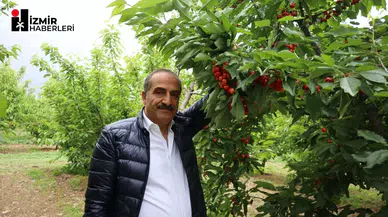 Uçak; “Don kirazı, kiraz ihracatı vurdu”