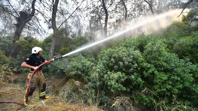 İzmir İtfaiyesi Menderes’te alevlerle mücadele ediyor