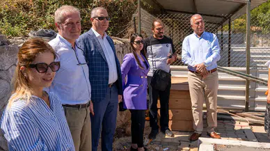 Gaziemir Belediyesi’nden can dostlara yeni yuva