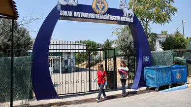 Buca'da 212 patili dost daha yeni ailesine kavuştu