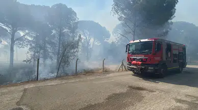 Bergama’da orman yangınına acil müdahale başlatıldı