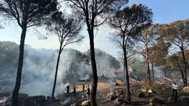 İzmir İtfaiyesi Bergama’da alevlerle mücadele ediyor