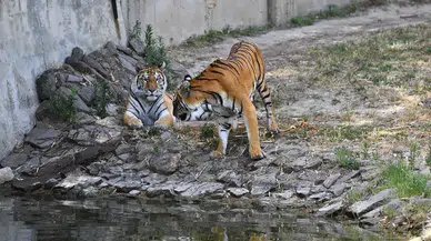 Doğal Yaşam Parkı’nda kış saati uygulaması başlıyor