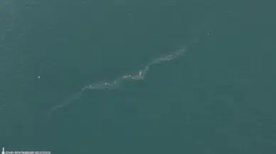 “Sistematik çevre ihlali endişe veriyor”