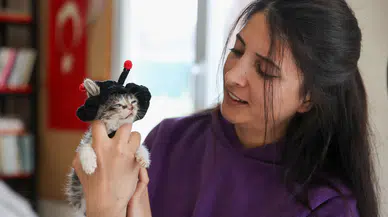 Yaşama ihtimali ‘sıfır’ olan Zero hayata tutundu