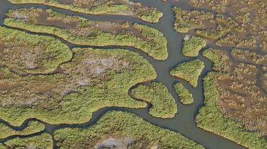 Gediz Havzası’nda kirlilik artıyor