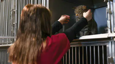 Buca’da 599 patili dost sıcak yuvaya kavuştu