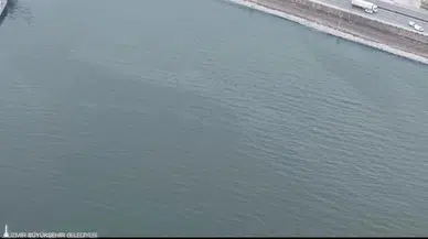 İzmir Körfezi’nde kirlilik alarmı: Aynı tehdit 11. kez görüldü