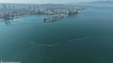 İzmir Körfezi göz göre göre kirletiliyor
