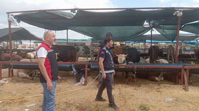 Çiğli’de Kurban Bayramı Denetimleri Aralıksız Sürüyor