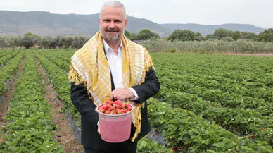 En lezzetli Festival için geri sayım başladı