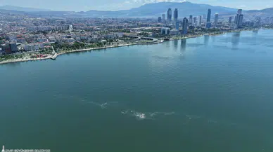 İzmir Körfezi’nde 14’üncü kez kirlilik tespit edildi